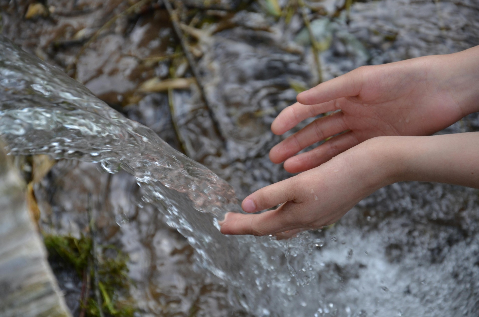 l'eau de la source qui jaillit