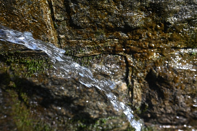 La fraicheur de l'eau de source